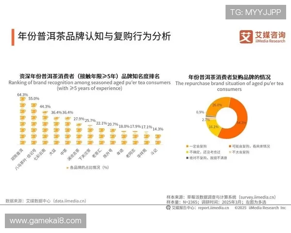 凯发集团旗下的公司全面介绍及其在行业中的核心地位分析